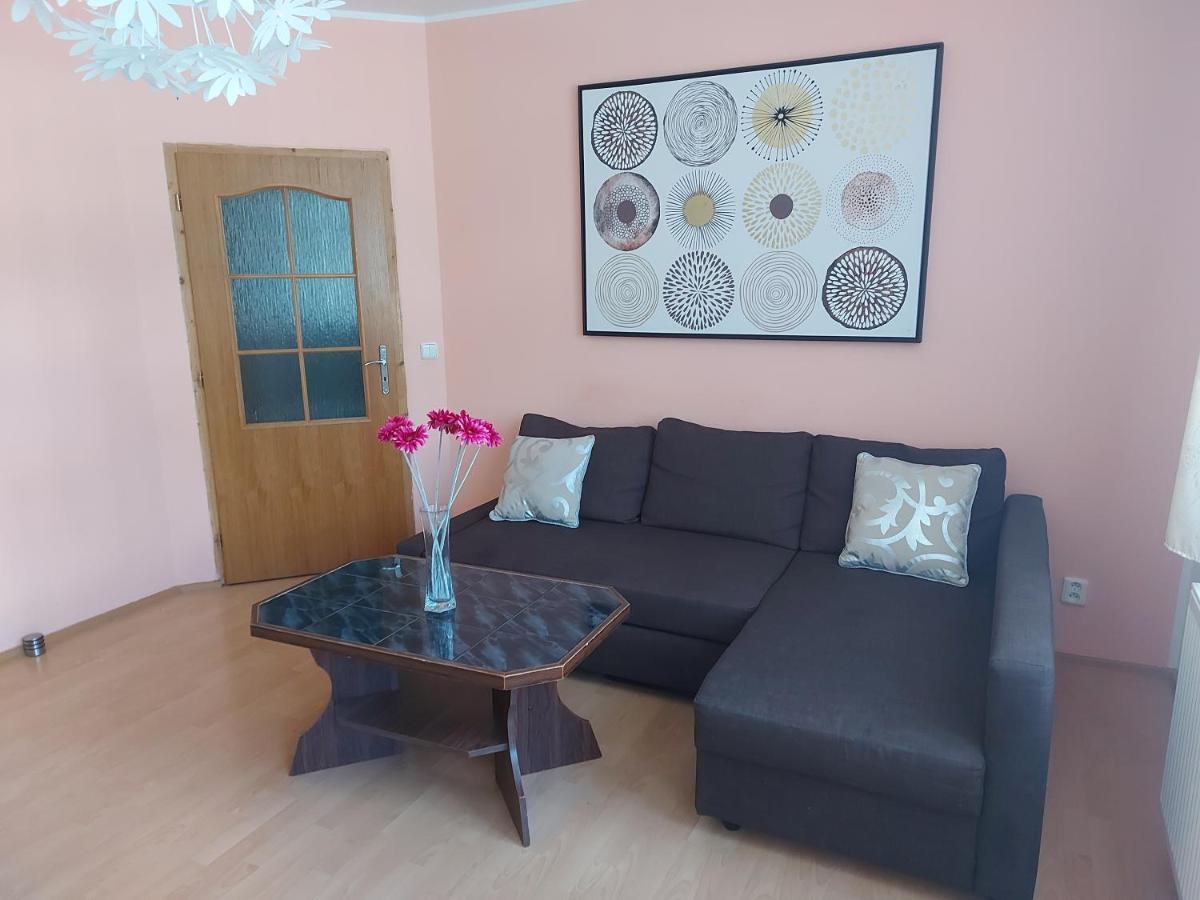 Apartman Jachymov Krusne Hory Buitenkant foto